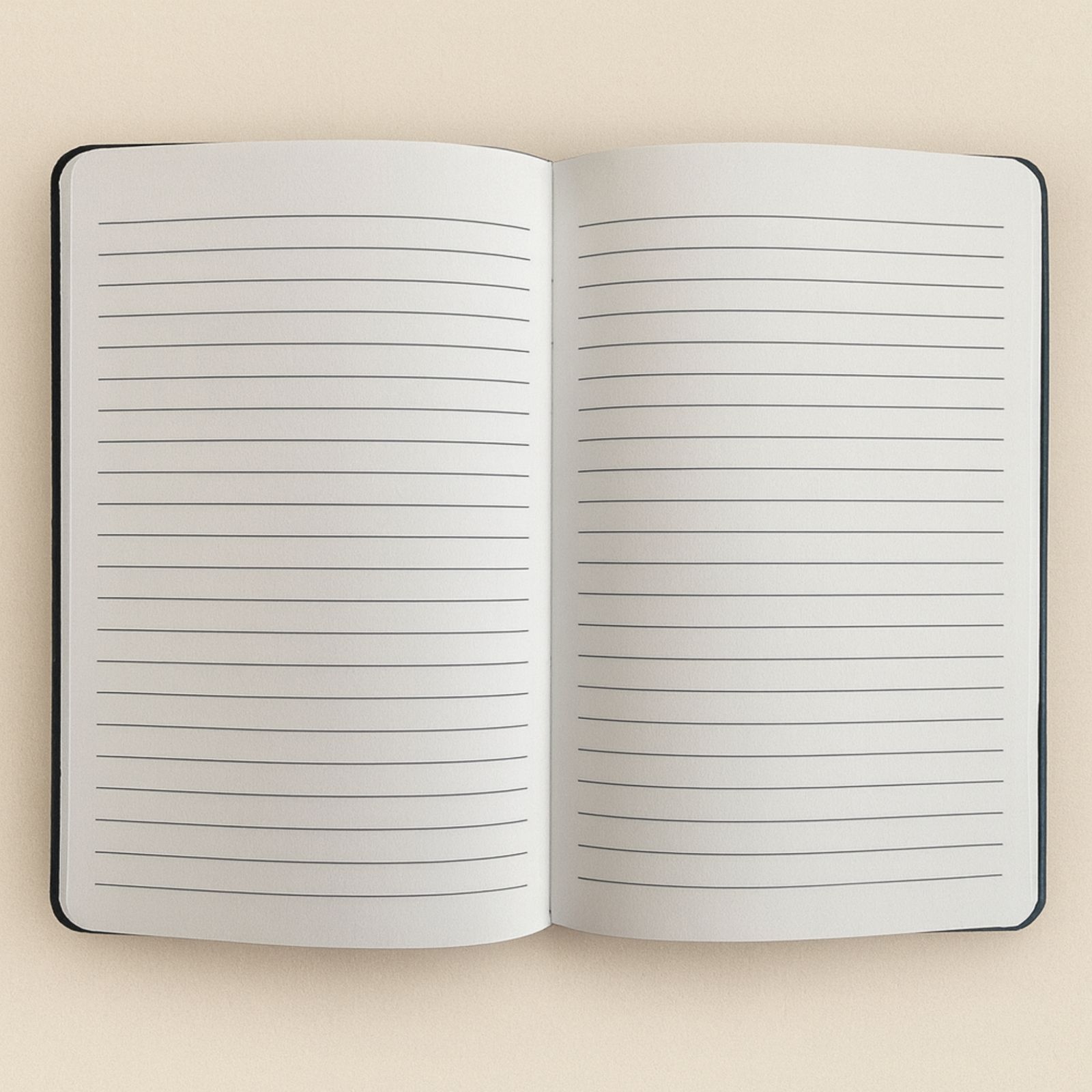Cuaderno de terciopelo negro - 80 páginas - Aprovecha el día - Imagen 2
