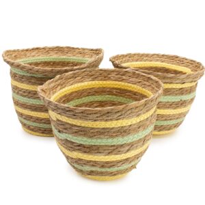 Cestas con forma de jarrón de hierba marina y paja - Amarillo natural y verde - Juego de 3